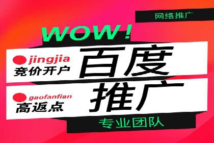 经典案例：信息流广告投放公司的成功之路